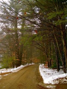 the road to my studio