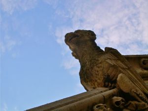 A gargoyle of Saint Marys Church
