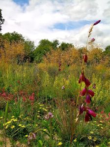 one of the most diverse yet compact collections of plants in the world